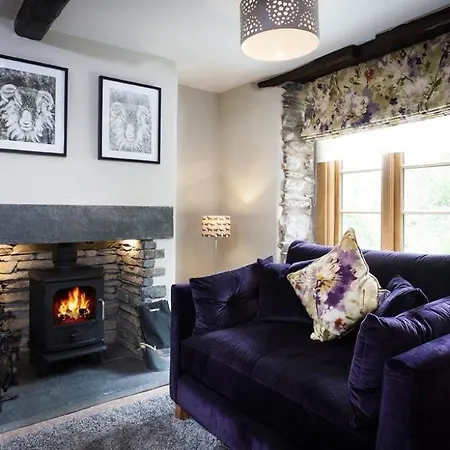 The Cosy Peacock